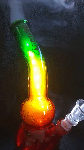 6in Clover Glow in the Dark Water Pipe - Leafly, Up-N-Smoke, Online Smoke  Shop