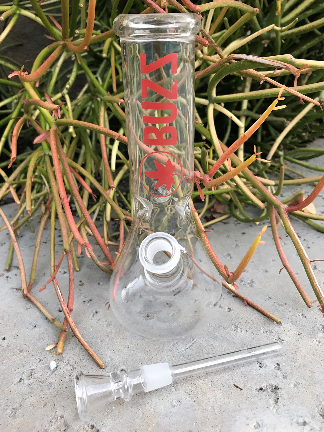 Glass Beaker Water Bong Best 8