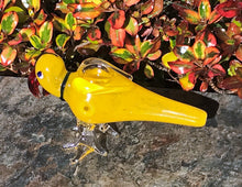 Collectible Handmade 5" Parrot Best Thick Glass Hand Pipe Bowl - Yellow