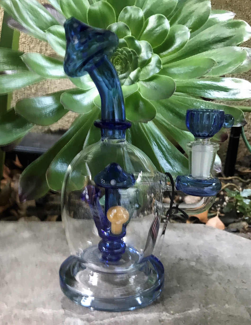 Collectible Thick Glass Shower Perc 9.5